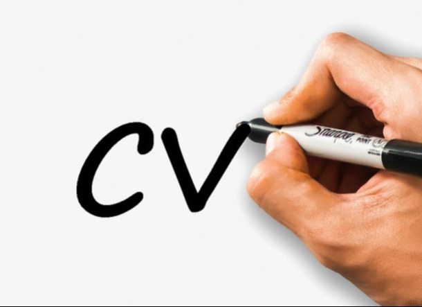 Cv 13