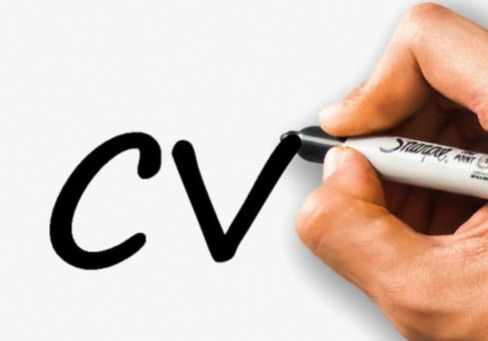 Cv 14
