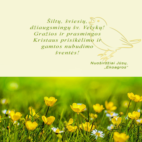 Galut