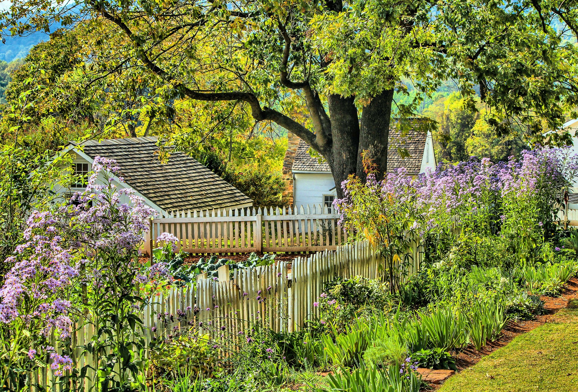 Garden