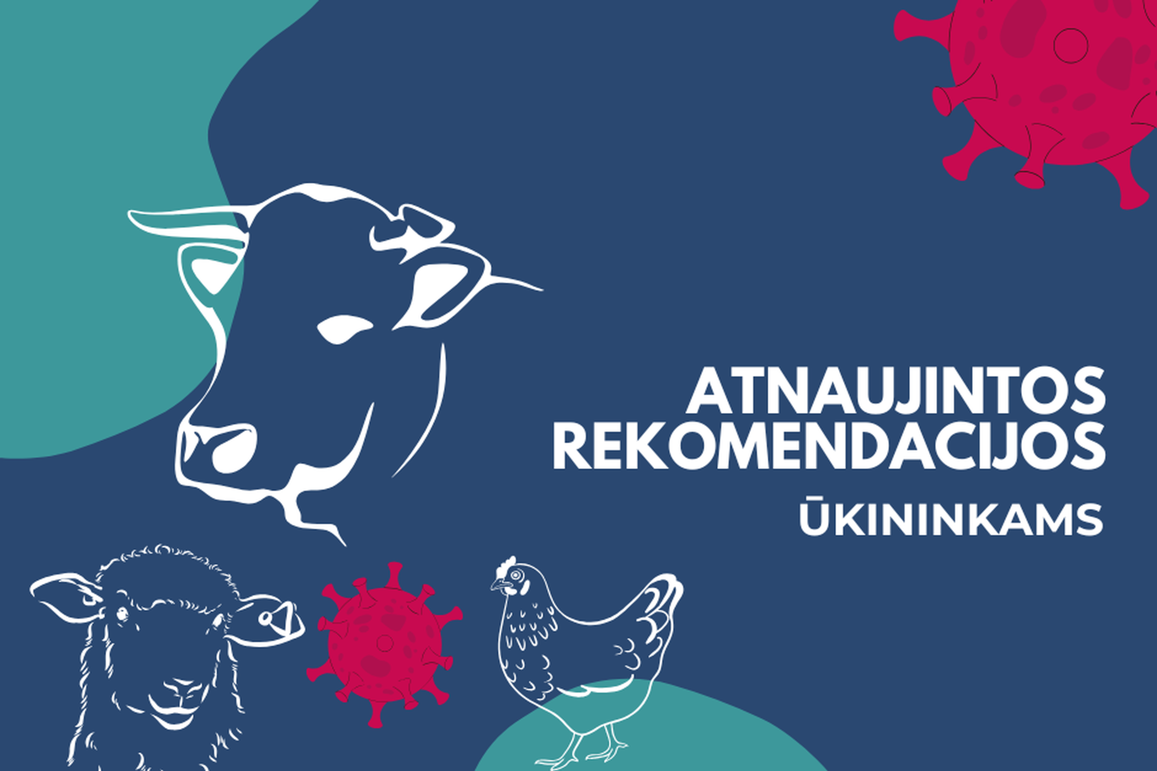 Vmvt ligos ir rekom